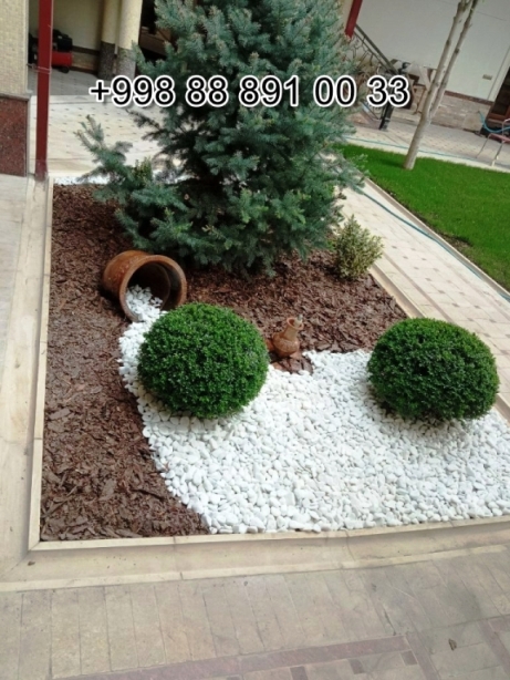  mramornaya-kroshka.uz in Khorezm Cost Video Review Photo, mramornaya-kroshka.uz in Syrdarya Cost Video Review Photo, mramornaya-kroshka.uz in Uzbekistan Price Photo Video Cost ReView, mramornaya-kroshka.uz in Namangan Price Photo Video Cost, mramornaya-kroshka.uz в Андижане Цена Фото Обзор, mramornaya-kroshka.uz in Kashkadarya Cost Video Review Photo, Xorazm mramornaya-kroshka.uz Narxi Video Foto Rasm, Qoraqalpog‘iston Nukus mramornaya-kroshka.uz Narxi Rasm Video Foto Narxi, mramornaya-kroshka.uz Самарканде Цена Фото Обзор, mramornaya-kroshka.uz in Surkhandarya Cost Video Review Photo, mramornaya-kroshka.uz в Кашкадарье Цена Фото Обзор, mramornaya-kroshka.uz Самарканде Цена Фото Обзор, Jizzax mramornaya-kroshka.uz Video Narxi Rasm Foto, mramornaya-kroshka.uz in Andijan Cost Video Review Photo, mramornaya-kroshka.uz Сурхандарье Фото Цена Обзор Видео, Surxondaryo mramornaya-kroshka.uz Narxi Rasm Video Foto, mramornaya-kroshka.uz Нукусе Цена Фото Обзор, Namangan mramornaya-kroshka.uz Video Foto Narxi Rasm, mramornaya-kroshka.uz в Ташкенте Узбекистане Цена Фото Обзор, mramornaya-kroshka.uz in Nukus Photo Video Cost ReView Price, mramornaya-kroshka.uz в Ташкенте Узбекистане Цена Фото Обзор, mramornaya-kroshka.uz in Karakalpakstan Nukus Cost Video Review Photo, mramornaya-kroshka.uz in Fergana Photo Cost Video Review, Samarqand mramornaya-kroshka.uz Foto Narxi Rasm Video Abzor, Qashqadaryo mramornaya-kroshka.uz Narxi Rasm Video Foto, mramornaya-kroshka.uz Джизаке, mramornaya-kroshka.uz Навои Цена Фото Обзор, mramornaya-kroshka.uz in Jizzakh Cost Video Review Photo, mramornaya-kroshka.uz in Bukhara Cost Video Review Photo, mramornaya-kroshka.uz in Navoi Cost Photo Video Review, Nukus mramornaya-kroshka.uz Narxi, mramornaya-kroshka.uz в Каракалпакистане Нукусе Цена Фото Обзор, mramornaya-kroshka.uz in Samarkand Price Photo Video Cost, mramornaya-kroshka.uz Хорезме Фото Цена Обзор, Sirdaryo mramornaya-kroshka.uz Narxi Rasm Video Abzor Foto, O'zbekiston mramornaya-kroshka.uz, Andijon mramornaya-kroshka.uz Narxi Rasm Foto Video, Buxoro mramornaya-kroshka.uz Video Narxi Rasm Foto, Farg'ona mramornaya-kroshka.uz Narxi Video Foto Rasm, rasm, mramornaya-kroshka.uz в Бухаре Цена Фото Обзор, Navoiy mramornaya-kroshka.uz Video Foto Narxi Rasm, mramornaya-kroshka.uz Фергане Фото Цена Обзор, mramornaya-kroshka.uz в Сырдарье Цена Фото Обзор, mramornaya-kroshka.uz Намангане Цена Фото Обзор 