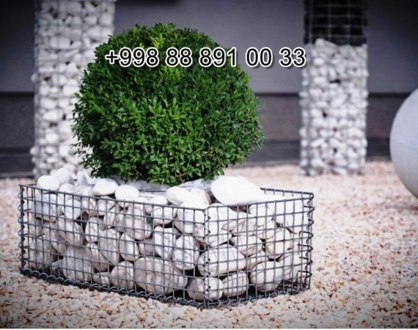  mramornaya-kroshka.uz in Syrdarya Cost Video Review Photo, mramornaya-kroshka.uz in Fergana Photo Cost Video Review, mramornaya-kroshka.uz Сурхандарье Фото Цена Обзор Видео, Xorazm mramornaya-kroshka.uz Narxi Video Foto Rasm, mramornaya-kroshka.uz Самарканде Цена Фото Обзор, Sirdaryo mramornaya-kroshka.uz Narxi Rasm Video Abzor Foto, mramornaya-kroshka.uz в Кашкадарье Цена Фото Обзор, mramornaya-kroshka.uz in Samarkand Price Photo Video Cost, mramornaya-kroshka.uz в Андижане Цена Фото Обзор, mramornaya-kroshka.uz Хорезме Фото Цена Обзор, Navoiy mramornaya-kroshka.uz Video Foto Narxi Rasm, mramornaya-kroshka.uz в Сырдарье Цена Фото Обзор, Nukus mramornaya-kroshka.uz Narxi, mramornaya-kroshka.uz in Karakalpakstan Nukus Cost Video Review Photo, mramornaya-kroshka.uz в Ташкенте Узбекистане Цена Фото Обзор, Qashqadaryo mramornaya-kroshka.uz Narxi Rasm Video Foto, Andijon mramornaya-kroshka.uz Narxi Rasm Foto Video, Qoraqalpog‘iston Nukus mramornaya-kroshka.uz Narxi Rasm Video Foto Narxi, Buxoro mramornaya-kroshka.uz Video Narxi Rasm Foto, mramornaya-kroshka.uz in Andijan Cost Video Review Photo, O'zbekiston mramornaya-kroshka.uz, mramornaya-kroshka.uz Джизаке, mramornaya-kroshka.uz в Ташкенте Узбекистане Цена Фото Обзор, mramornaya-kroshka.uz в Бухаре Цена Фото Обзор, Samarqand mramornaya-kroshka.uz Foto Narxi Rasm Video Abzor, mramornaya-kroshka.uz in Uzbekistan Price Photo Video Cost ReView, mramornaya-kroshka.uz Намангане Цена Фото Обзор, mramornaya-kroshka.uz in Kashkadarya Cost Video Review Photo, Farg'ona mramornaya-kroshka.uz Narxi Video Foto Rasm, rasm, mramornaya-kroshka.uz Нукусе Цена Фото Обзор, mramornaya-kroshka.uz Фергане Фото Цена Обзор, mramornaya-kroshka.uz in Jizzakh Cost Video Review Photo, mramornaya-kroshka.uz in Bukhara Cost Video Review Photo, mramornaya-kroshka.uz in Surkhandarya Cost Video Review Photo, mramornaya-kroshka.uz Навои Цена Фото Обзор, mramornaya-kroshka.uz in Nukus Photo Video Cost ReView Price, mramornaya-kroshka.uz in Navoi Cost Photo Video Review, mramornaya-kroshka.uz in Namangan Price Photo Video Cost, mramornaya-kroshka.uz в Каракалпакистане Нукусе Цена Фото Обзор, Namangan mramornaya-kroshka.uz Video Foto Narxi Rasm, mramornaya-kroshka.uz in Khorezm Cost Video Review Photo, mramornaya-kroshka.uz Самарканде Цена Фото Обзор, Jizzax mramornaya-kroshka.uz Video Narxi Rasm Foto, Surxondaryo mramornaya-kroshka.uz Narxi Rasm Video Foto 