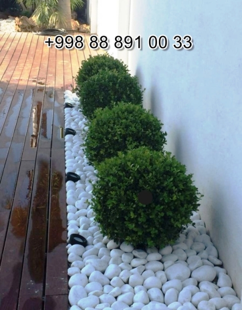  Navoiy mramornaya-kroshka.uz Video Foto Narxi Rasm, mramornaya-kroshka.uz в Андижане Цена Фото Обзор, Andijon mramornaya-kroshka.uz Narxi Rasm Foto Video, Surxondaryo mramornaya-kroshka.uz Narxi Rasm Video Foto, mramornaya-kroshka.uz Намангане Цена Фото Обзор, Jizzax mramornaya-kroshka.uz Video Narxi Rasm Foto, mramornaya-kroshka.uz в Кашкадарье Цена Фото Обзор, mramornaya-kroshka.uz in Fergana Photo Cost Video Review, mramornaya-kroshka.uz Хорезме Фото Цена Обзор, mramornaya-kroshka.uz in Uzbekistan Price Photo Video Cost ReView, Farg'ona mramornaya-kroshka.uz Narxi Video Foto Rasm, rasm, mramornaya-kroshka.uz Сурхандарье Фото Цена Обзор Видео, mramornaya-kroshka.uz в Каракалпакистане Нукусе Цена Фото Обзор, Qoraqalpog‘iston Nukus mramornaya-kroshka.uz Narxi Rasm Video Foto Narxi, mramornaya-kroshka.uz Самарканде Цена Фото Обзор, mramornaya-kroshka.uz Навои Цена Фото Обзор, mramornaya-kroshka.uz in Surkhandarya Cost Video Review Photo, Nukus mramornaya-kroshka.uz Narxi, O'zbekiston mramornaya-kroshka.uz, mramornaya-kroshka.uz in Karakalpakstan Nukus Cost Video Review Photo, mramornaya-kroshka.uz in Syrdarya Cost Video Review Photo, mramornaya-kroshka.uz в Бухаре Цена Фото Обзор, mramornaya-kroshka.uz in Nukus Photo Video Cost ReView Price, mramornaya-kroshka.uz in Bukhara Cost Video Review Photo, mramornaya-kroshka.uz in Jizzakh Cost Video Review Photo, Qashqadaryo mramornaya-kroshka.uz Narxi Rasm Video Foto, mramornaya-kroshka.uz Самарканде Цена Фото Обзор, Buxoro mramornaya-kroshka.uz Video Narxi Rasm Foto, mramornaya-kroshka.uz Нукусе Цена Фото Обзор, Samarqand mramornaya-kroshka.uz Foto Narxi Rasm Video Abzor, mramornaya-kroshka.uz in Khorezm Cost Video Review Photo, Xorazm mramornaya-kroshka.uz Narxi Video Foto Rasm, mramornaya-kroshka.uz in Namangan Price Photo Video Cost, mramornaya-kroshka.uz Фергане Фото Цена Обзор, mramornaya-kroshka.uz в Ташкенте Узбекистане Цена Фото Обзор, mramornaya-kroshka.uz in Kashkadarya Cost Video Review Photo, Namangan mramornaya-kroshka.uz Video Foto Narxi Rasm, mramornaya-kroshka.uz в Ташкенте Узбекистане Цена Фото Обзор, mramornaya-kroshka.uz in Andijan Cost Video Review Photo, mramornaya-kroshka.uz в Сырдарье Цена Фото Обзор, mramornaya-kroshka.uz in Navoi Cost Photo Video Review, Sirdaryo mramornaya-kroshka.uz Narxi Rasm Video Abzor Foto, mramornaya-kroshka.uz Джизаке, mramornaya-kroshka.uz in Samarkand Price Photo Video Cost 